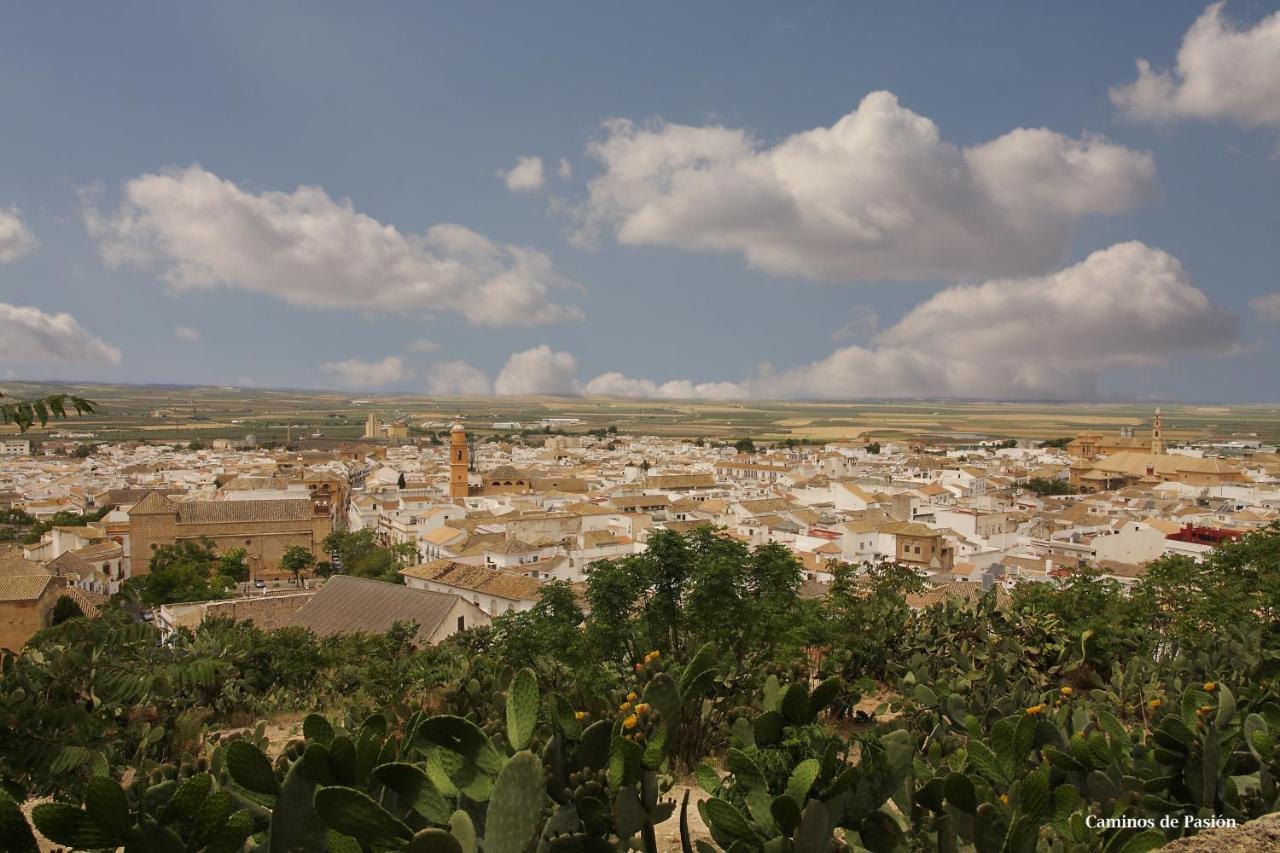 Hotel El Molino Osuna Kültér fotó