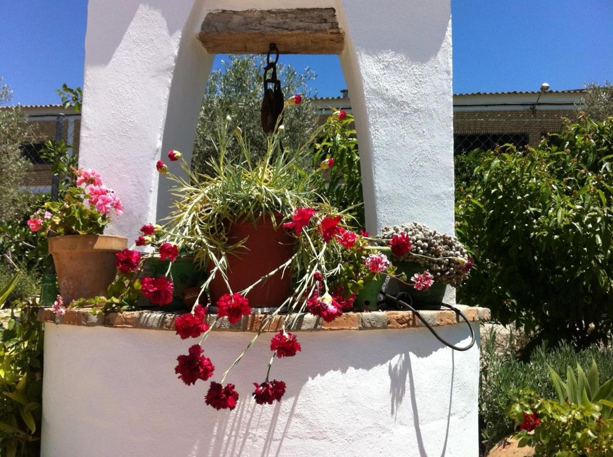 Hotel El Molino Osuna Kültér fotó
